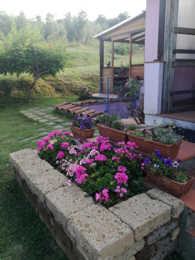 Agriturismo Campolungo Sant'Ermo Buitenkant foto