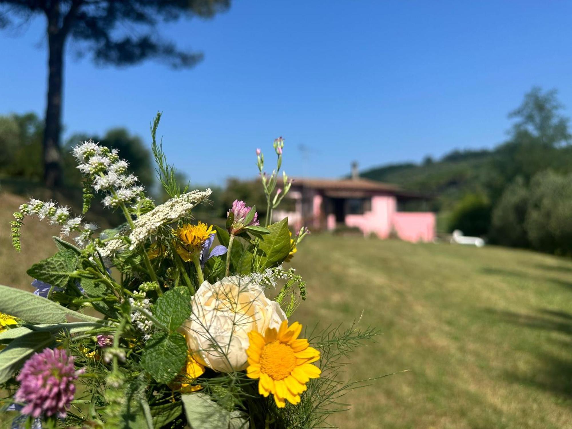 Agriturismo Campolungo Sant'Ermo Buitenkant foto